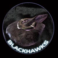 renegade bitek brothers of the voidhawks
